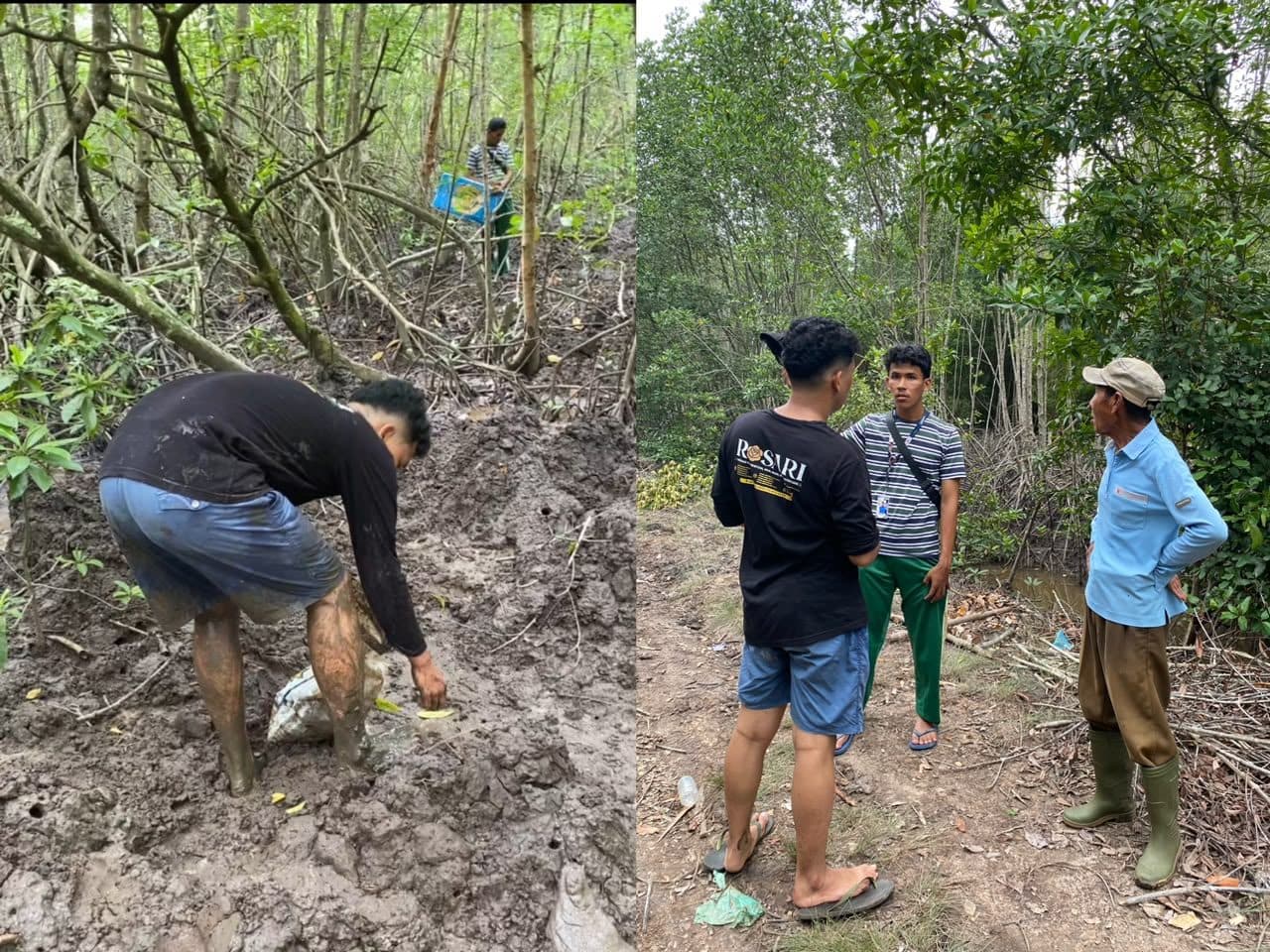 Dokumentasi kegiatan Pengumpulan Propagul Bersama Ketua Kelompok Mangrove KEMPAS, foto 1 dari 1