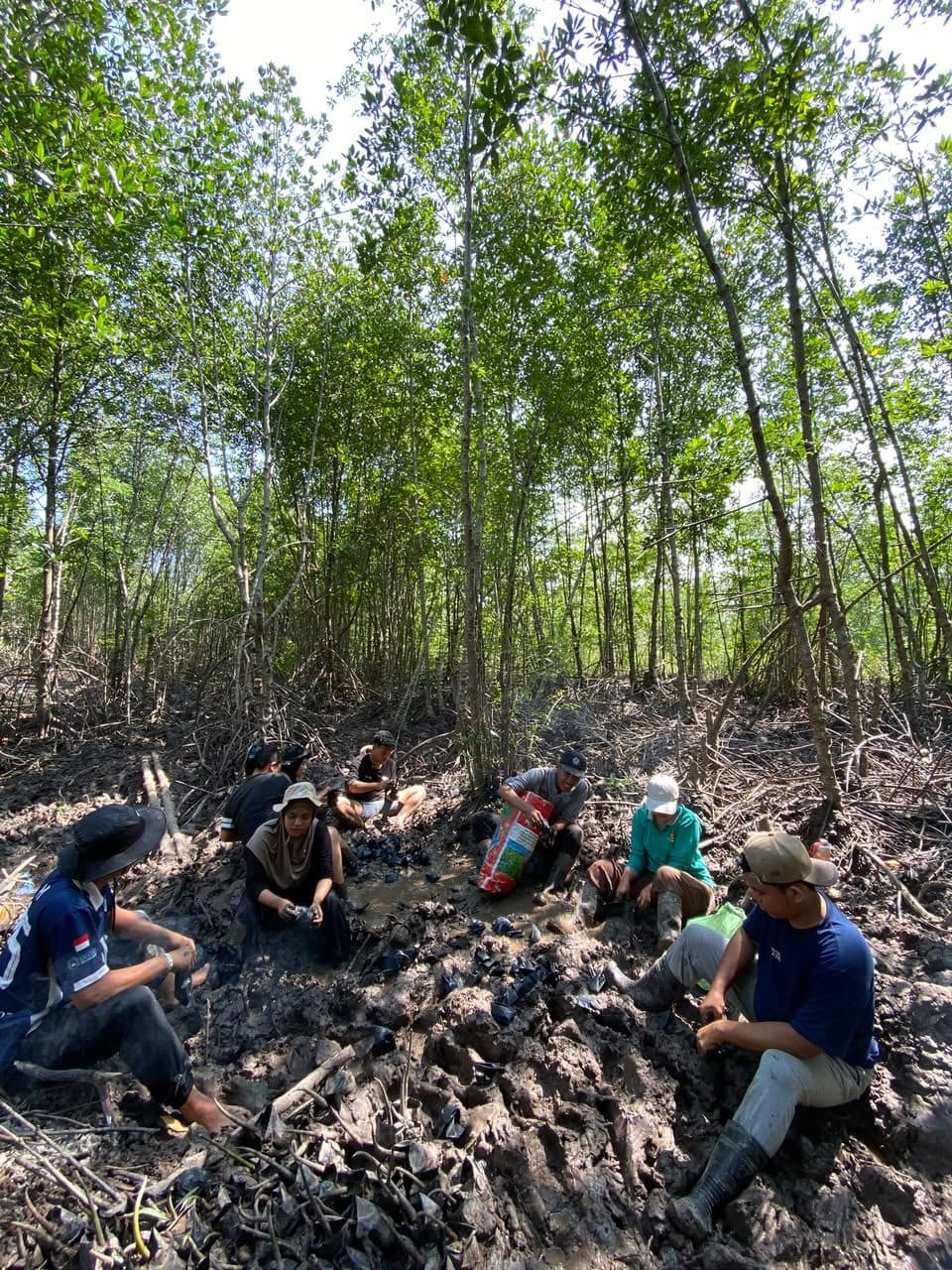 Dokumentasi kegiatan Pembibitan Propagul Mangrove Bersama Ketua KEMPAS Day-3, foto 1 dari 4