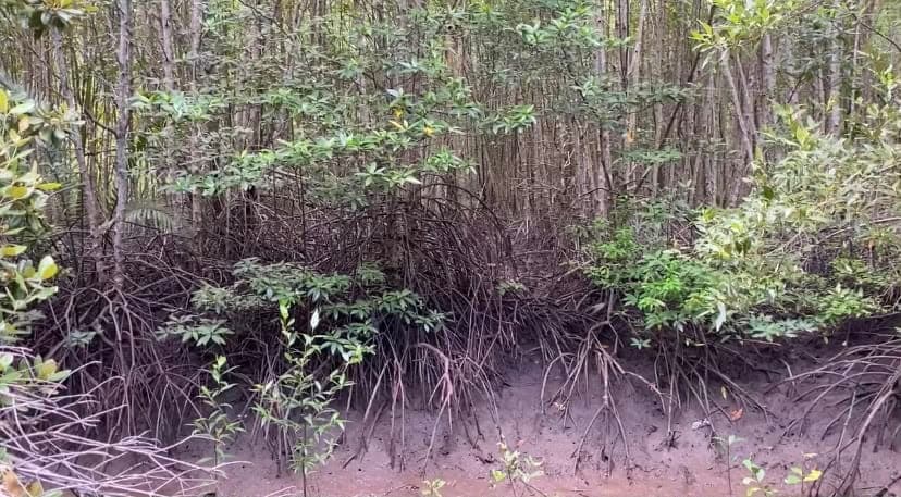 Dokumentasi lapangan Program SELARAS, foto 14 dari 15
